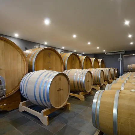 Penzión pre hostí Terra Wylak Winery